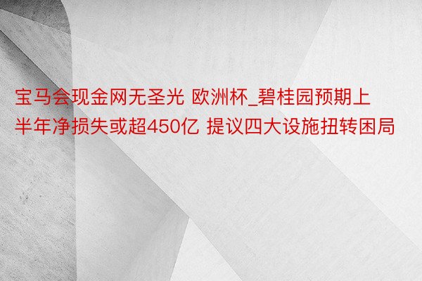 宝马会现金网无圣光 欧洲杯_碧桂园预期上半年净损失或超450亿 提议四大设施扭转困局