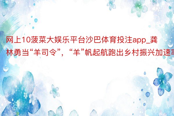 网上10菠菜大娱乐平台沙巴体育投注app_龚林勇当“羊司令”，“羊”帆起航跑出乡村振兴加速率