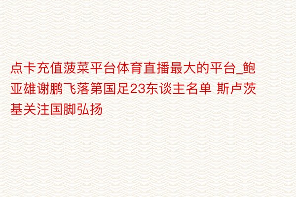 点卡充值菠菜平台体育直播最大的平台_鲍亚雄谢鹏飞落第国足23东谈主名单 斯卢茨基关注国脚弘扬